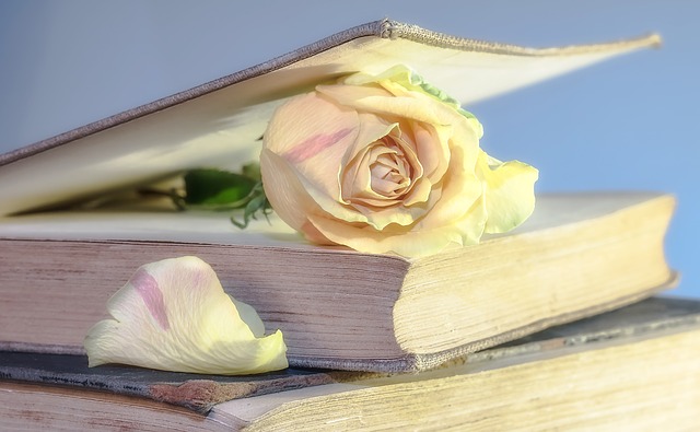 Literatúra, na ktorej záleží